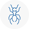 Ant Removals In Rawmarsh