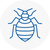 Bed Bug Extermination In Rawmarsh