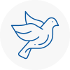 Bird Prevention Rawmarsh
