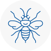Rawmarsh Hornet Nest Removals