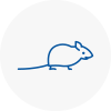 Mice Exterminators In Rawmarsh
