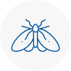 Moth Control Specialists In Rawmarsh