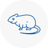Rat Control Rawmarsh
