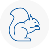 Rawmarsh Rodent Removals